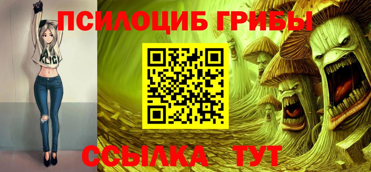 Коряжма  Псилоцибиновые грибы Psilocybine cubensis  Вход с VPN  Галлюциногенные грибы Psilocybine cubensis 